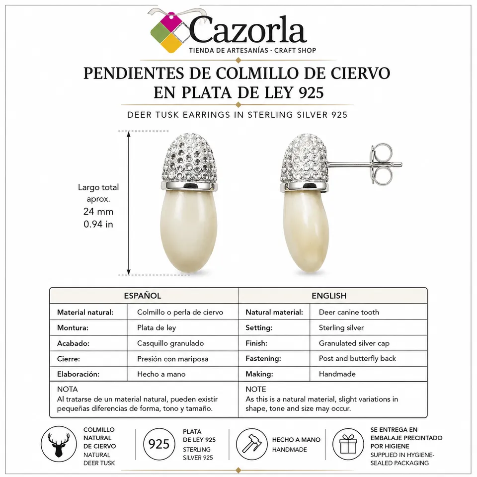Ficha técnica de pendientes de colmillo de ciervo con casquillo granulado de plata de ley y medidas.